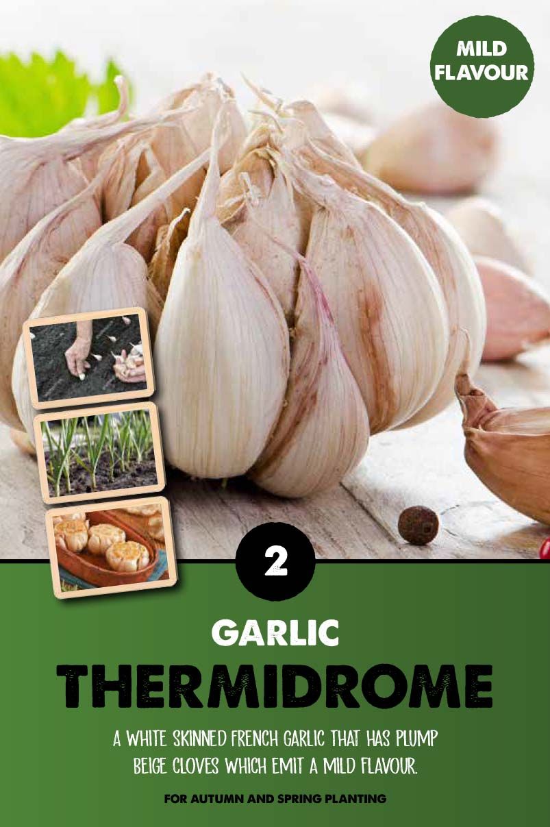 GARLIC THERMIDROME x3