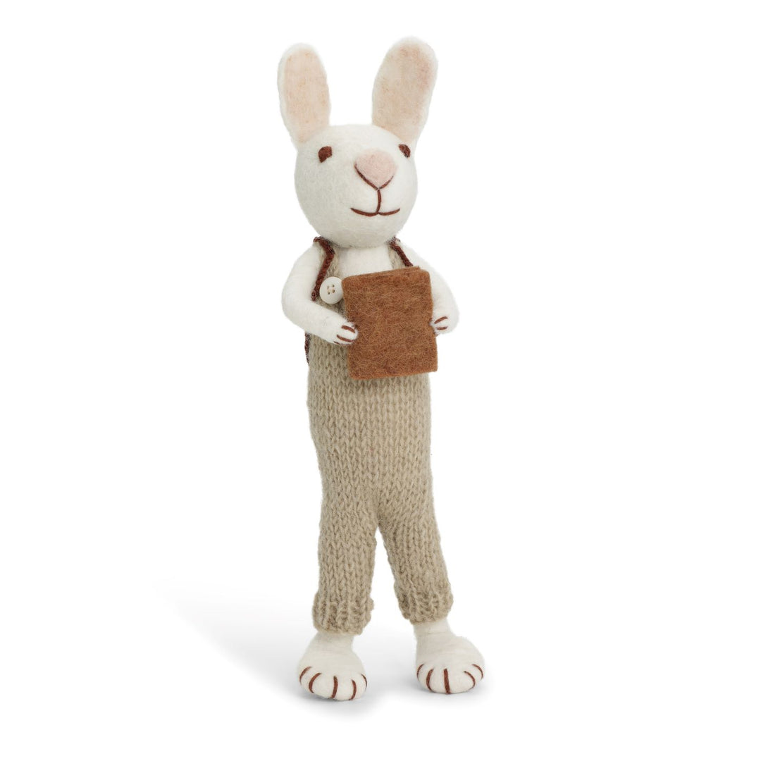 Big White Bunny with Green Pants and Book