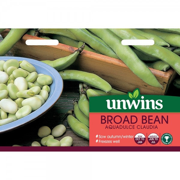 Broad Bean Aquadulce Claudia