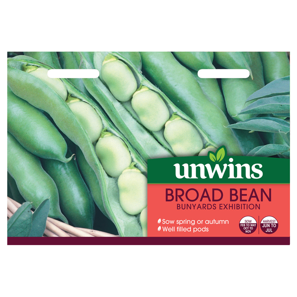 Broad Bean Bunyards Exhibition