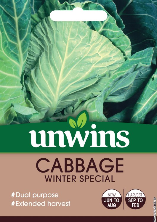 Cabbage (Spring Greens) Winter Green