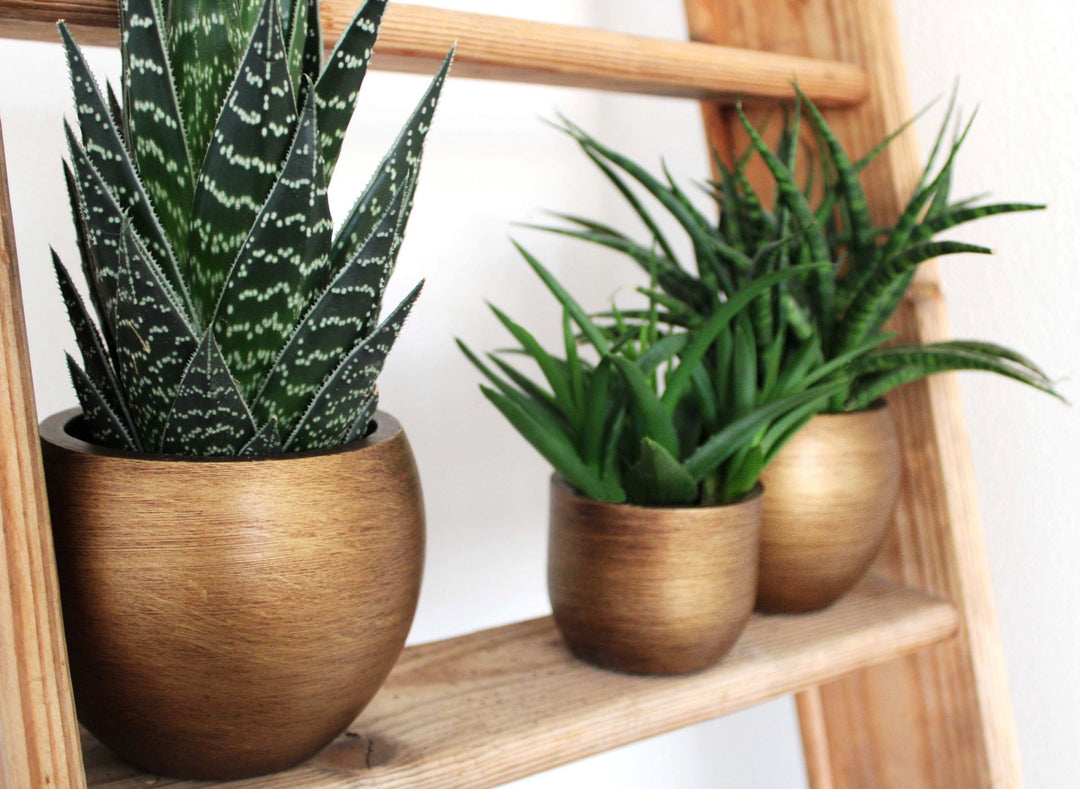 Vase Ball Retro Pot Ø18cm H15cm Gold