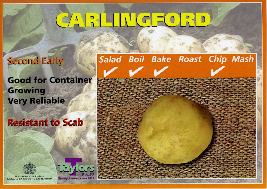Carlingford Seed Potatoes 2kg