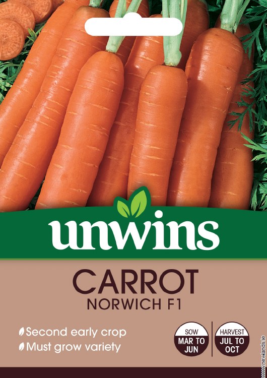 Carrot Norwich F1