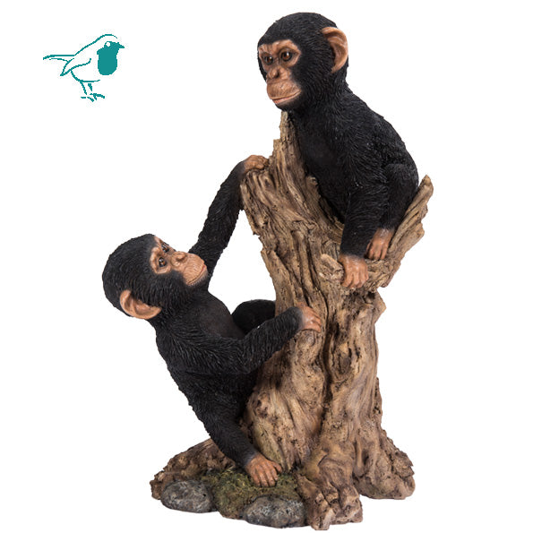 Climbing Baby Chimps