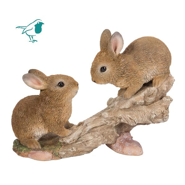 Climbing Baby Rabbits B
