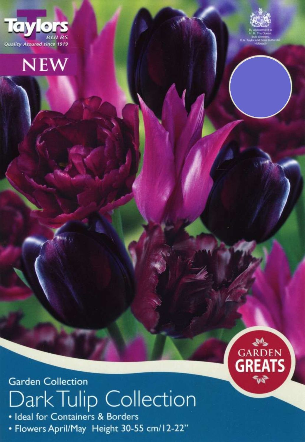 DARK TULIP COLLECTION
