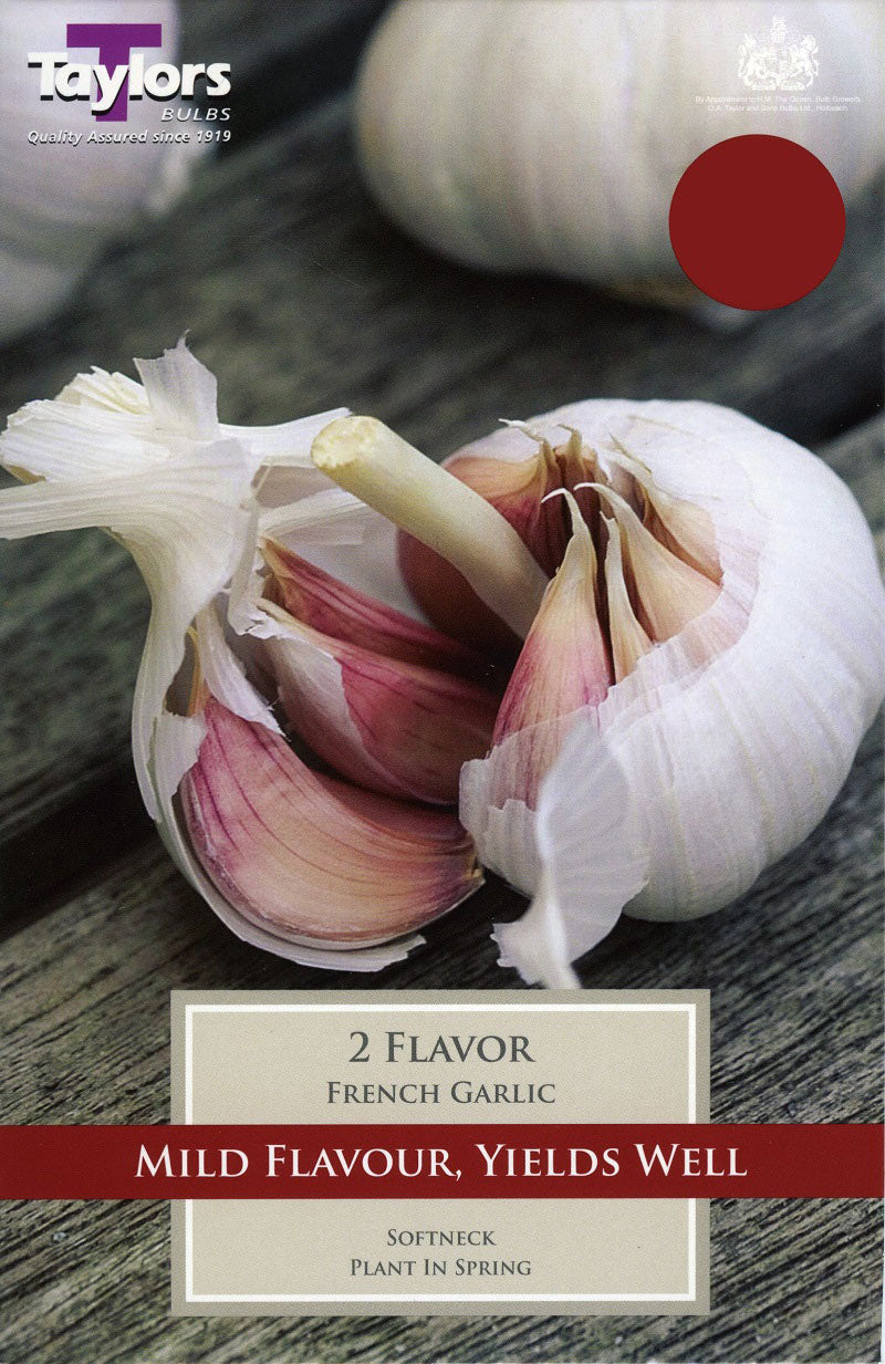 PRE PACKS FRENCH GARLIC FLAVOR 2