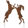 Fighting Hares