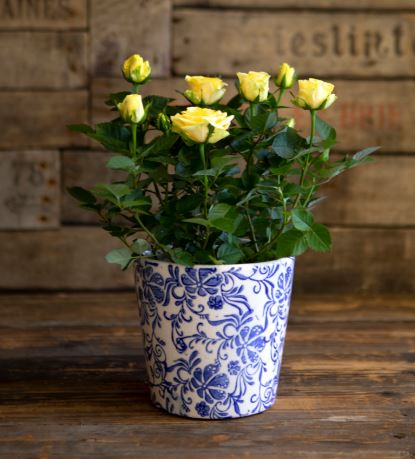 Floral Pot Blue S