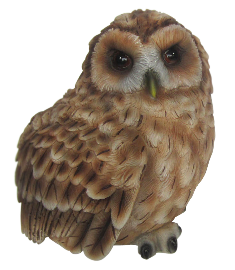GF Owl Small F