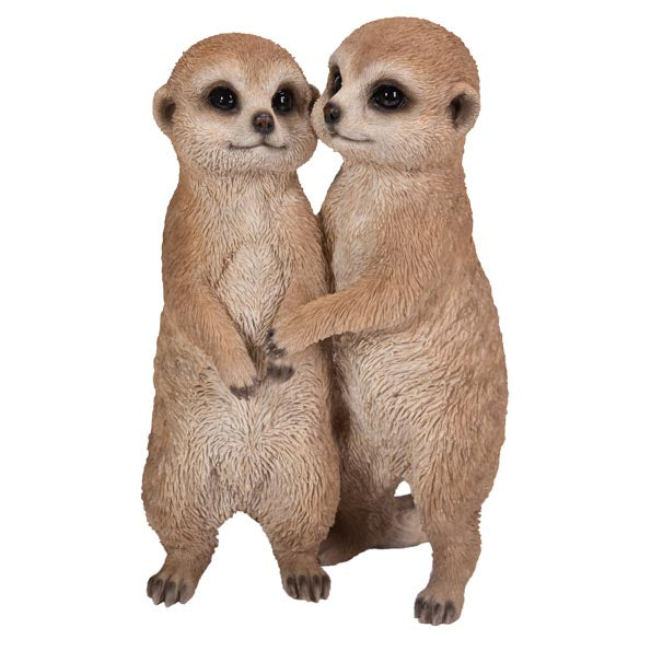 Hugging Meerkats B