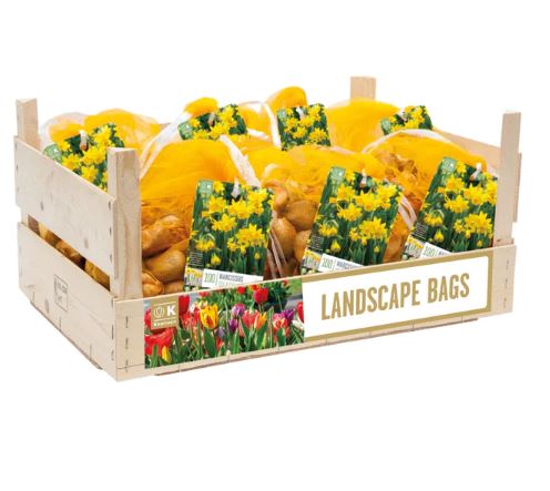LANDSCAPE BAG NARCISSUS TETE A TETE X 100