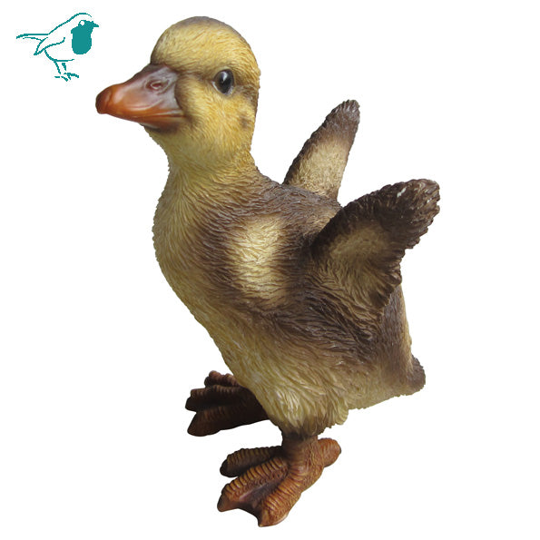 NF Duckling F