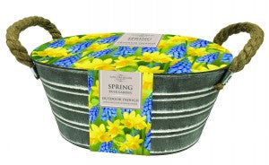 OUTDOOR METAL TROUGH NARCISSUS MUSCARI X 15
