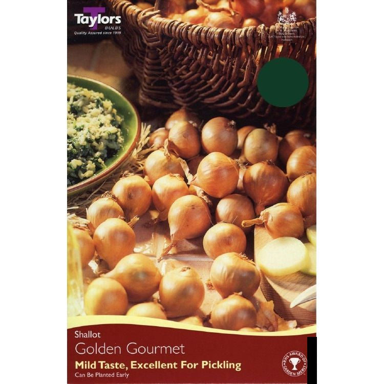 Onion Shallots Golden Gormet