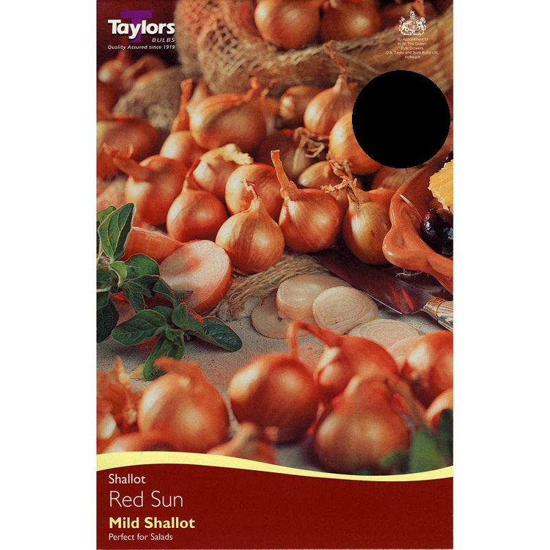 Onion Shallots Red Sun