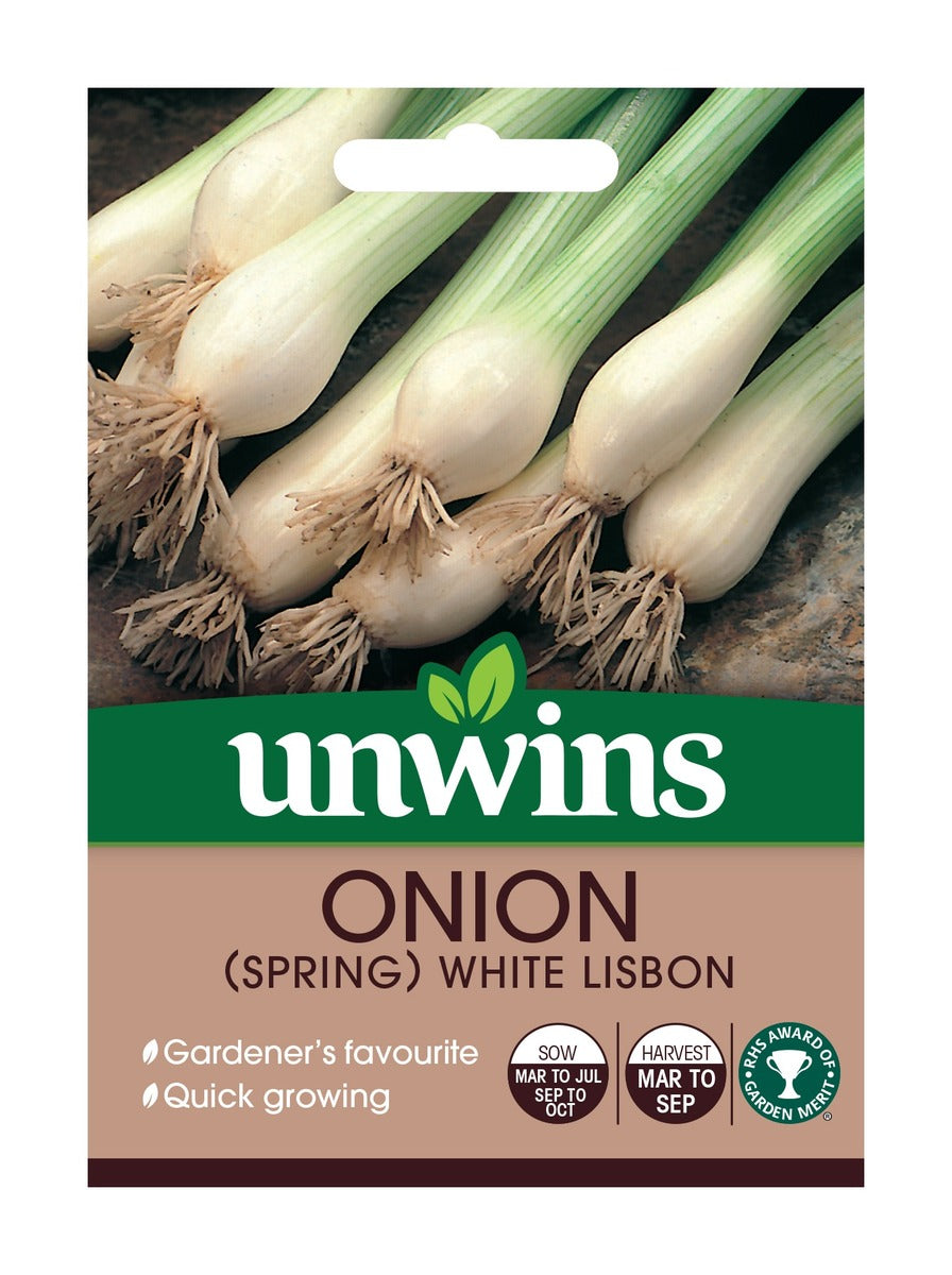 Onion Spring White Lisbon