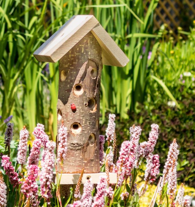 Original Ladybird tower