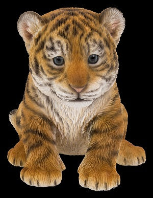 PP Tiger Cub F