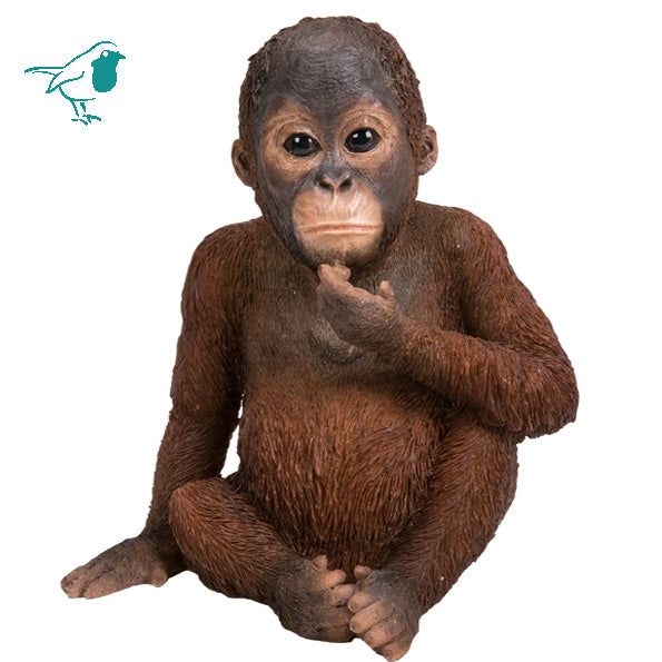 RL Baby Orangutan F