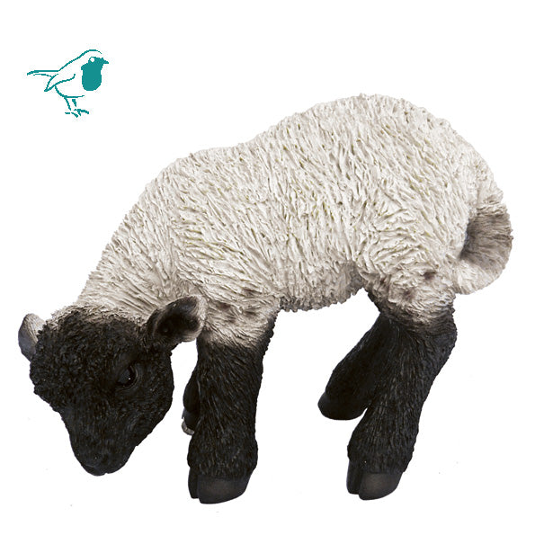 RL Black/White Lamb D