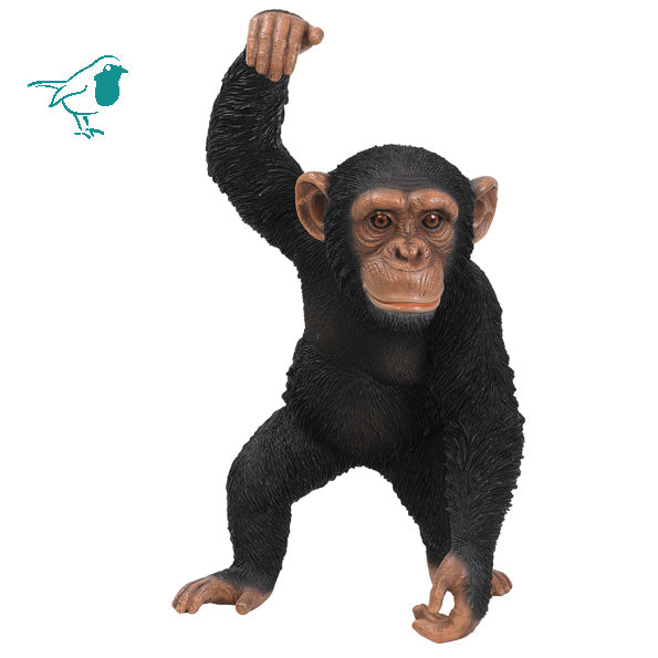 RL Hanging Chimpanzee B