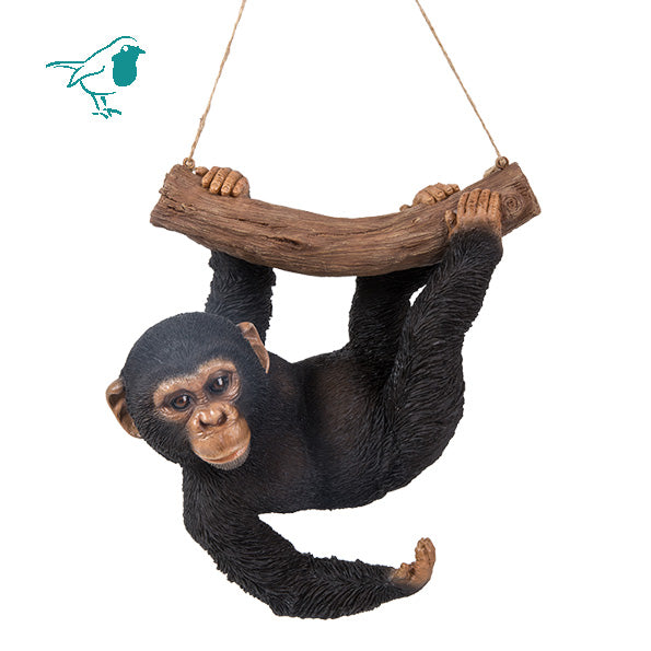 RL Hanging Chimpanzee D