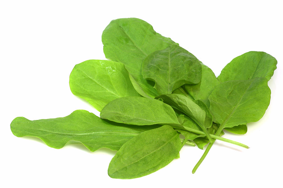 Sorrel, broadleafed