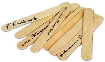 15cm WOODEN PLANT LABELS & PENCIL