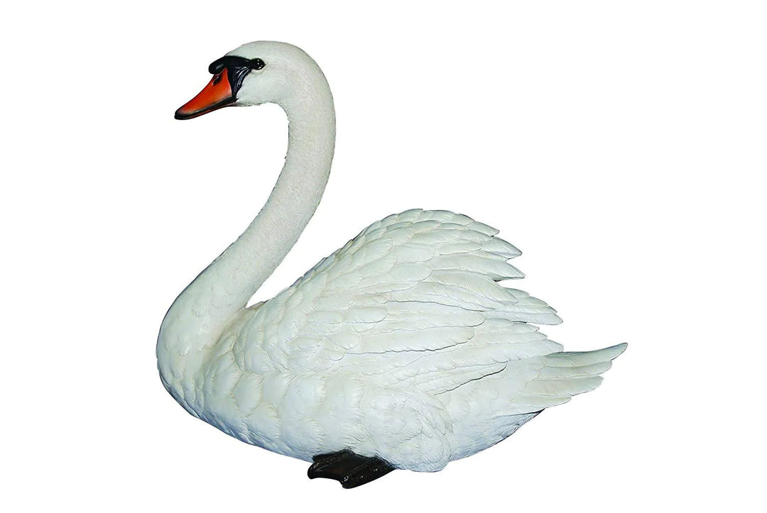 Real Life Mute Swan B