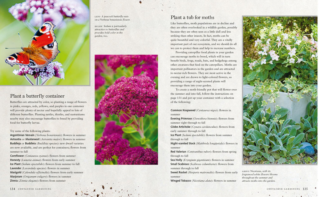 Urban Wildlife Gardener