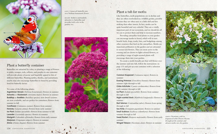 Urban Wildlife Gardener