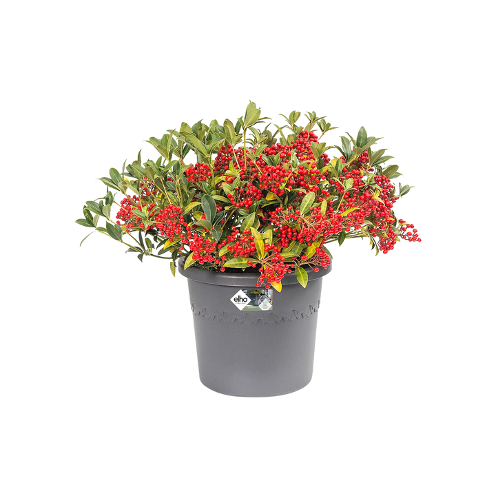 Algarve Cilindro Anthracite Ø21cm