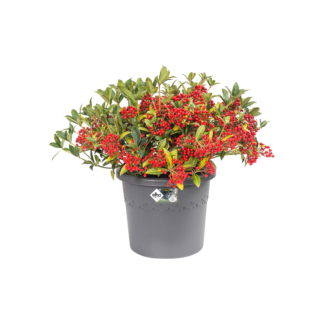 Algarve Cilindro Anthracite Ø30cm