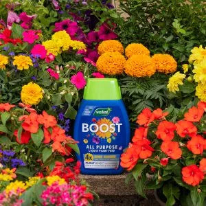 Westland BOOST All Purpose Liquid Plant Food 1Ltr