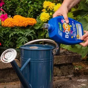 Westland BOOST All Purpose Liquid Plant Food 1Ltr