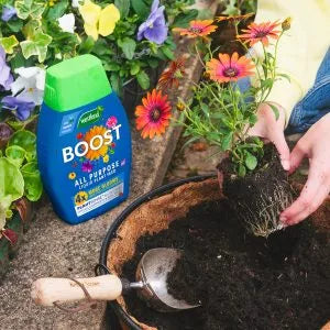 Westland BOOST All Purpose Liquid Plant Food 1Ltr