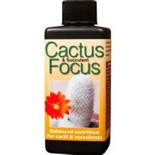 Cactus focus