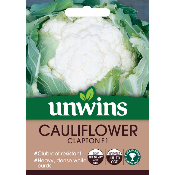 Cauliflower Clapton F1