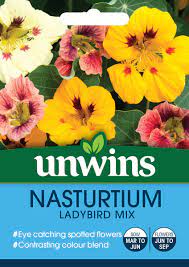 Nasturtium Ladybird Mix