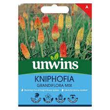 Kniphofia Grandiflora Mix