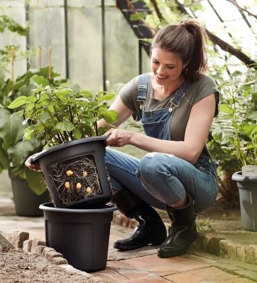 Green Basics Potato Pot Ø33cm Living Black