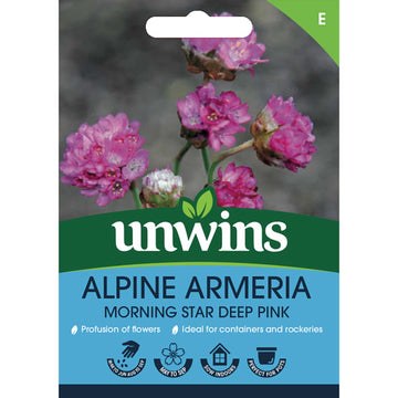 Alpine Armeria Morning Star Deep Pink