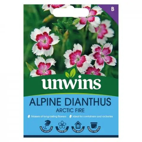 Alpine Dianthus Arctic Fire