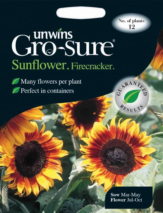 Sunflower Firecracker F1
