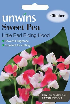 Sweet Pea Little Red Riding Hood