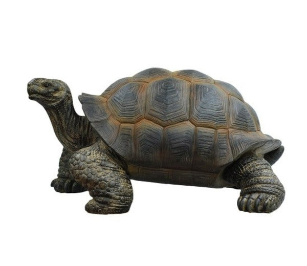Real Life Giant Tortoise D