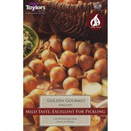 PRE-PACKED GOLDEN GOURMET SHALLOTS 12