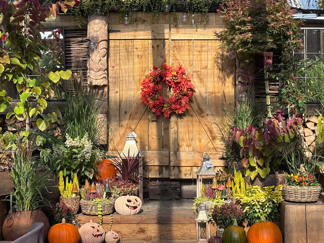 autumn display in front of a wooden gate